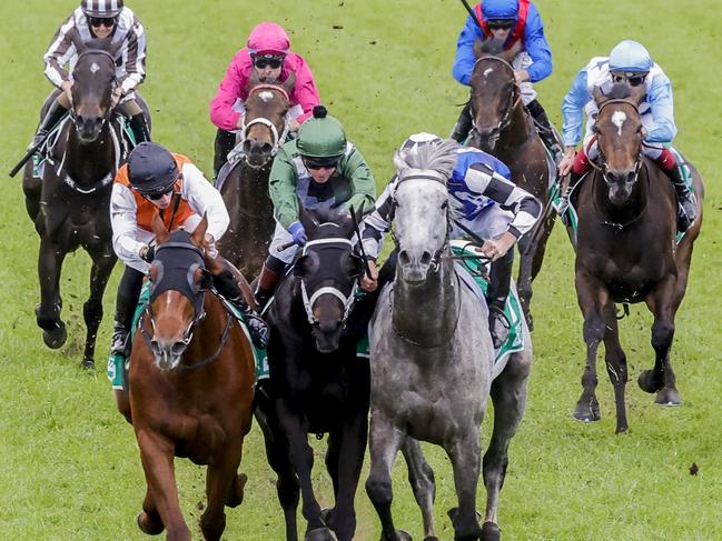 SYDNEY, AUSTRALIA - OCTOBER 01: Hugh Bowman on Top Ranked (grey horse) and Brenton Avdulla (orange) on Ellsberg are declared a dead heat in race 8 the Tab Epsom during Sydney Racing at Royal Randwick Racecourse on October 01, 2022 in Sydney, Australia. (Photo by Jenny Evans/Getty Images)