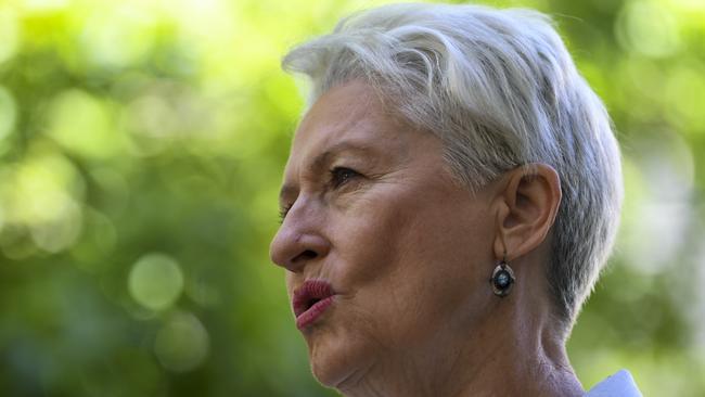 Crossbench MP Kerryn Phelps says the legislation is not a threat to border security. Picture: AAP