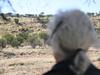 Alice Springs pensioner details terrifying armed attack