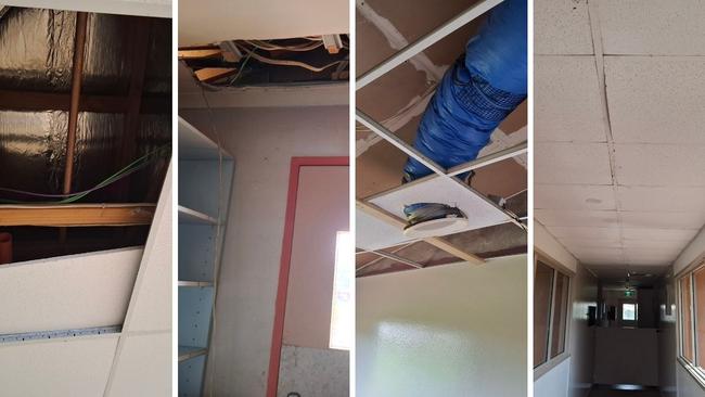 The state of ceilings across the property of the Tarraray Pet Resort, Bonville.