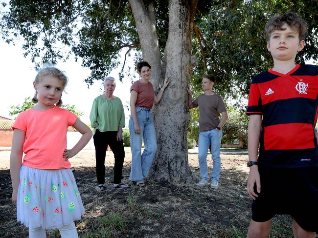 A 50 year old Magenta Lillipilli in Vale Park, is to be removed by developers, to make way for a driveway. Neighbors including Wendy Mercer, and the Haynes family, Cadence and Leigh with their children Edwin,8, and Millie,6, think removal of the tree is not necessary, and will take out another significant tree from the suburban landscape. 6 March 2022. Picture Dean Martin