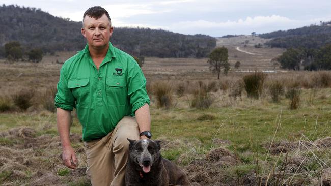 Grant Prendergast on his farm Orrabah near Retreat with the damage to his paddocks caused by feral pigs. Picture: Jonathan Ng