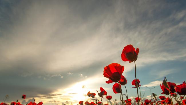 For one minute, I will remember my great-grandfather. Picture: iStock