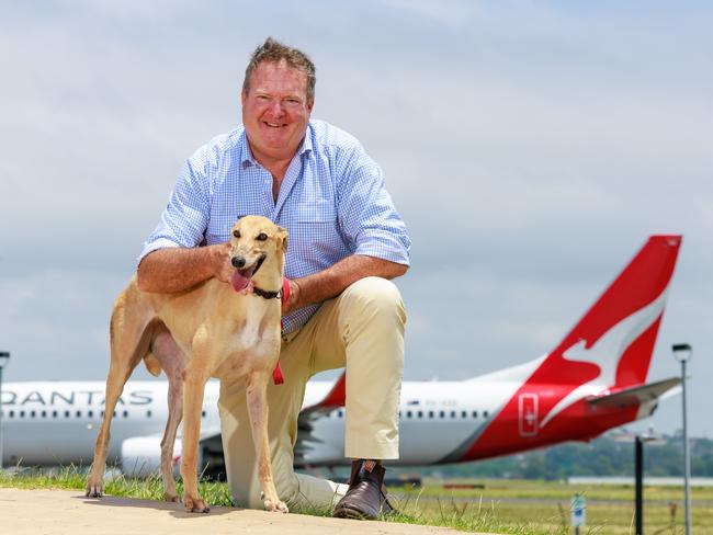 Daily Telegraph. 11, January, 2024.GRNSW CEO boss Rob Macaulay with Ginger at Sydney Airport, today. Ginger is the 500th greyhound bound for the USA.Picture: Justin Lloyd.