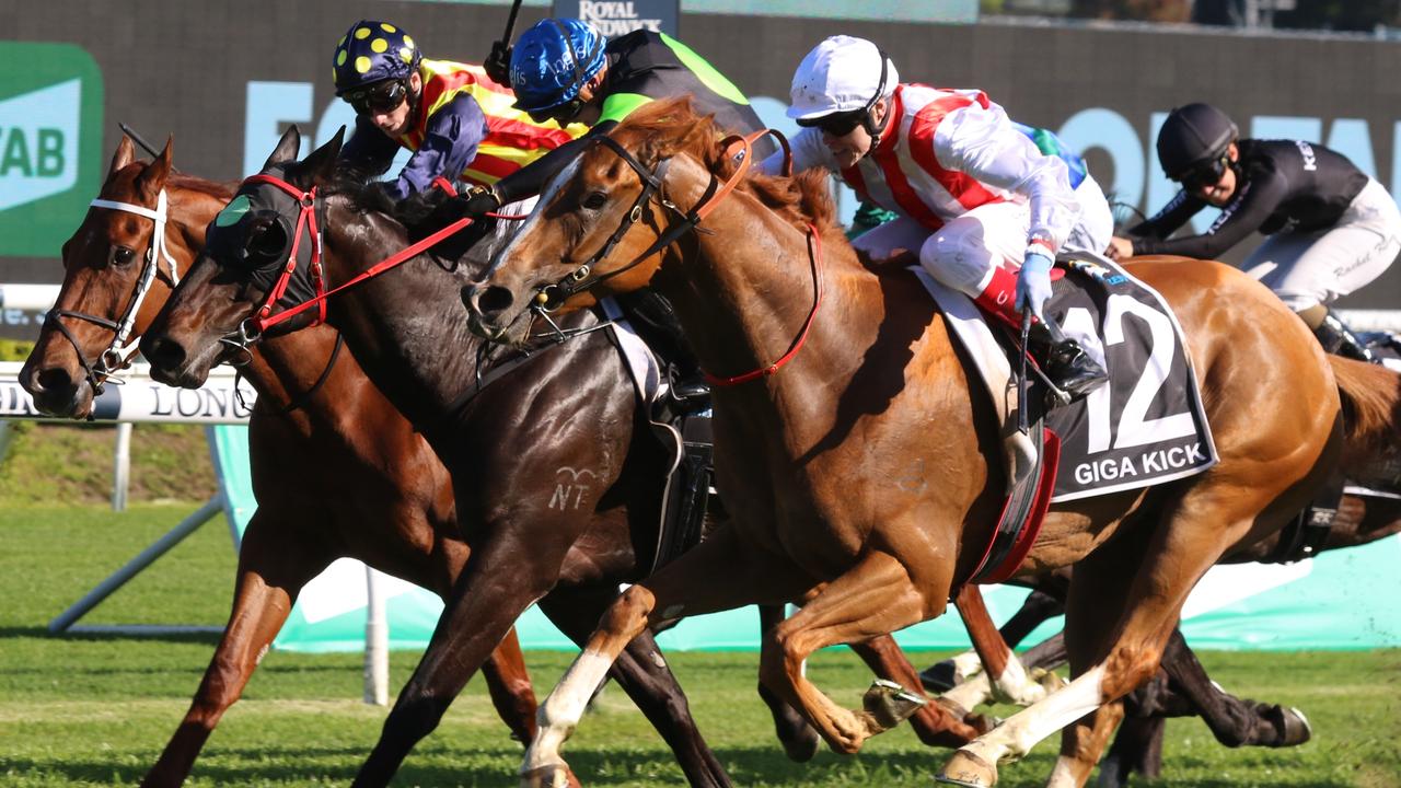 The Everest winner Giga Kick is being aimed at the Sydney autumn carnival. Picture: Grant Guy
