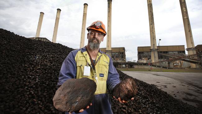 Hazelwood raw coal bunker operator Ron Bernardi holds lumps of the brown coal mined on the site. Picture: David Caird