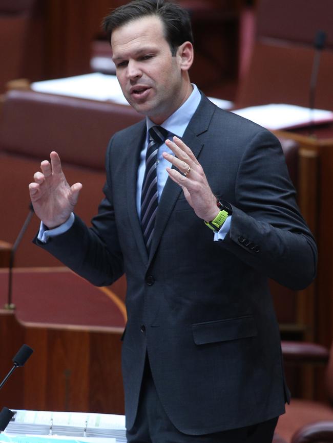 Senator Matt Canavan says Premier Palaszczuk was risking the jobs that would be created by the Adani mine, by not giving the mining giant a taxpayer funded loan to build a rail line. Picture: Gary Ramage