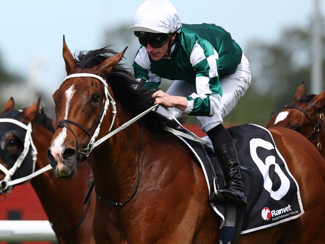 SYDNEY, AUSTRALIA - MARCH 23: James Mcdonald riding  Via Sistina wins Race 5 Ranvet Stakes  during the Golden Slipper Day - Sydney Racing at Rosehill Gardens on March 23, 2024 in Sydney, Australia. (Photo by Jeremy Ng/Getty Images)