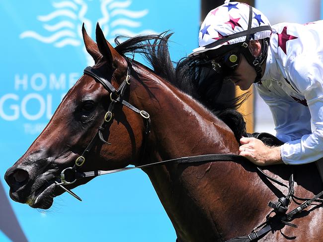 Jockey Luke Currie eases down Sunlight after her sizzling performance. Picture: AAP