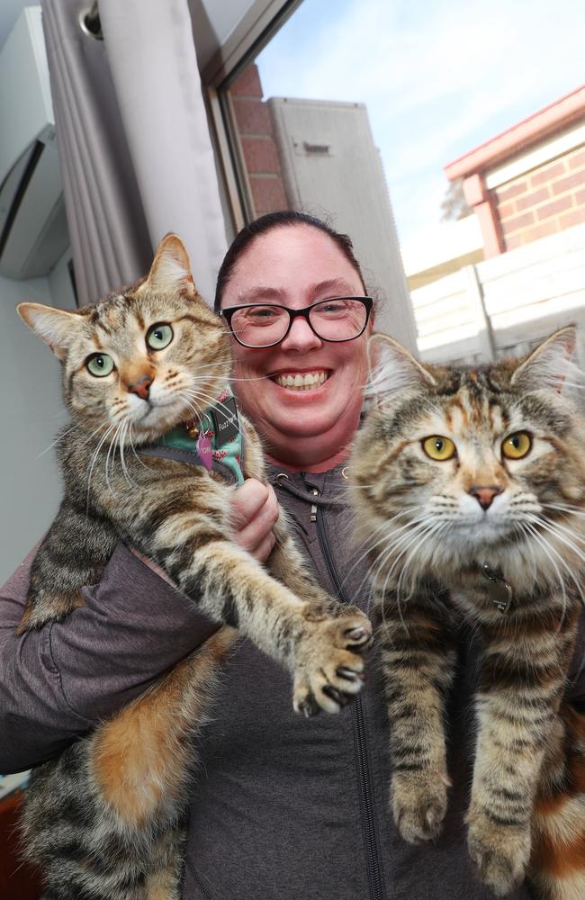 Bree Lornie and her cats Harriett and Scarlett. Picture: Alan Barber