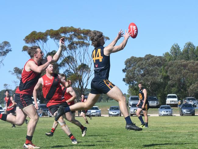 Kane Bowley grabs a mark. Picture: Dennis Green