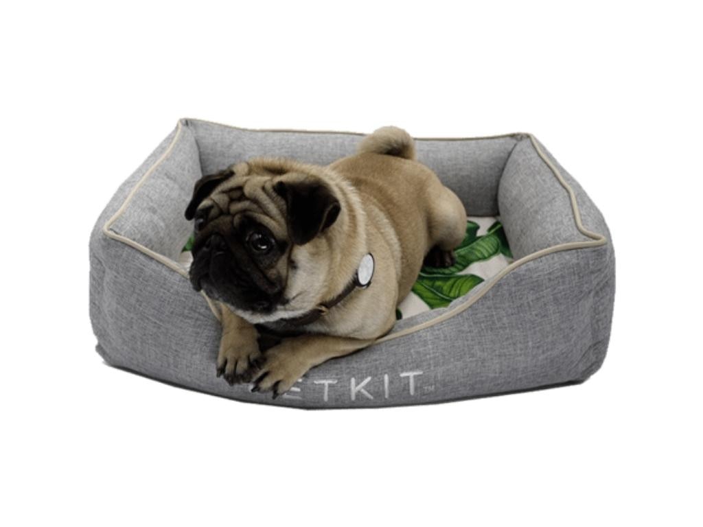 Petkit Cooling Bed. Picture: Pet Circle.