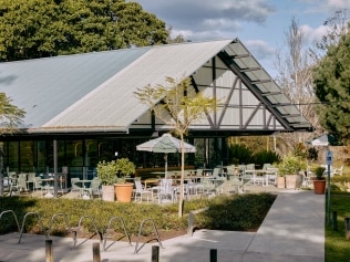 Misc is by the banks of Little Coogee at Parramatta Park. Picture: Parker Blain