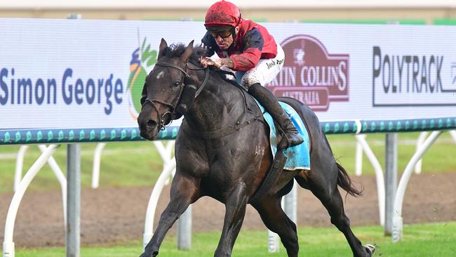 Bosustow winning the Gold Coast Guineas Picture: Bethany Allday, Trackside Photography.