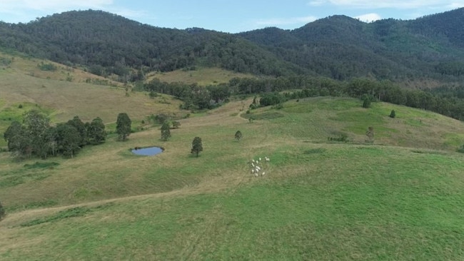 Mitchell is seeking $1.38m for his 222ha cattle farm at Caffreys Flat, near Taree. Picture: Society Real Estate