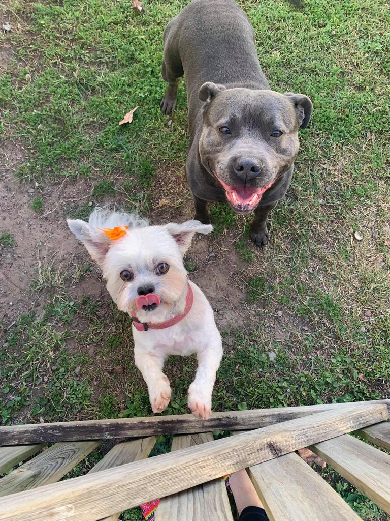 Penny and Led excited that mum’s home Picture: Deanne