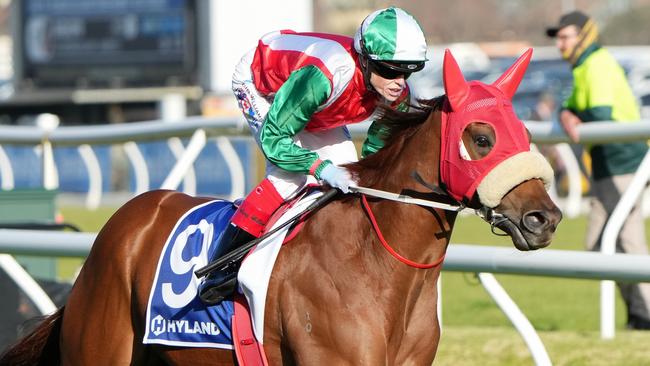 Craig (GB) on the way to the barriers prior to the running of Hyland Race Colours Toorak Handicap at Caulfield Racecourse on October 12, 2024 in Caulfield, Australia. (Photo by George Sal/Racing Photos via Getty Images)