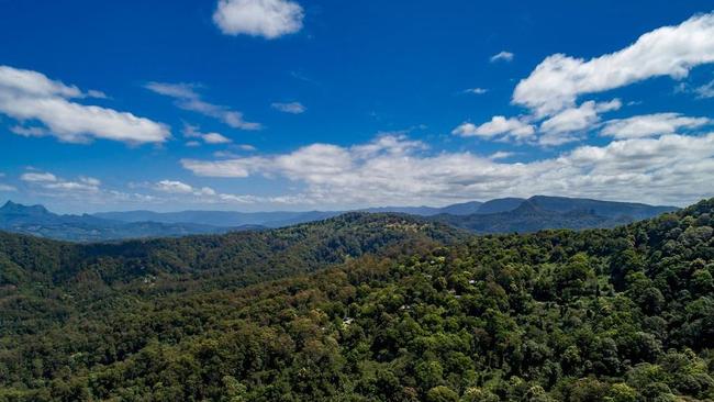 The views from the Tweed Valley property.