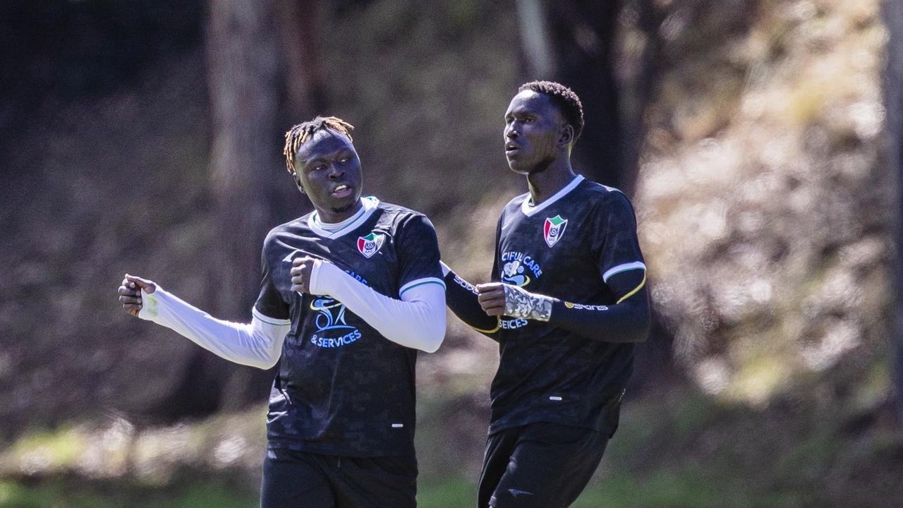 Players participating at the Multicultural Cup on Cornelian Bay sports fields. Picture: Linda Higginson