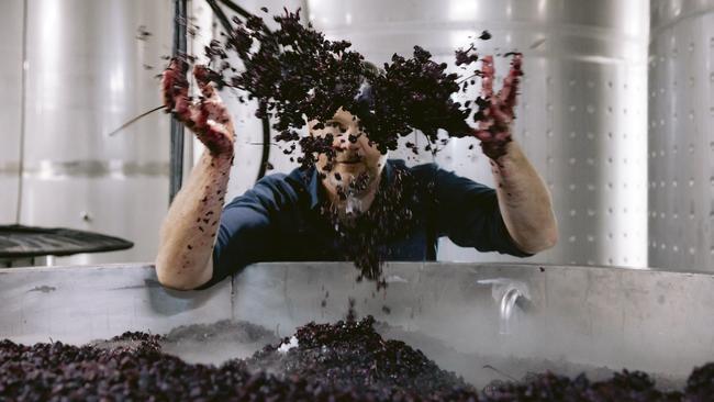 Mercer Winemaker Aaron Mercer. Picture: Supplied