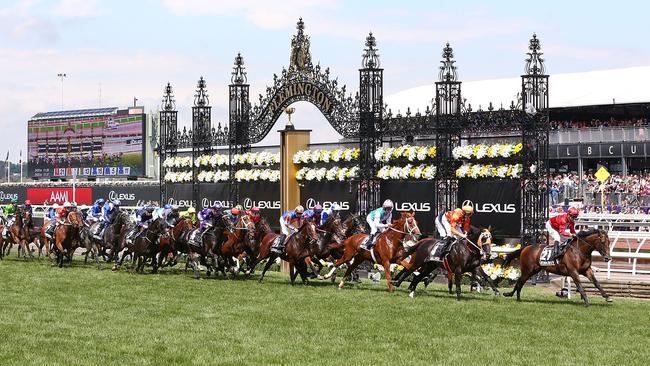 The Melbourne Cup field early in the race.