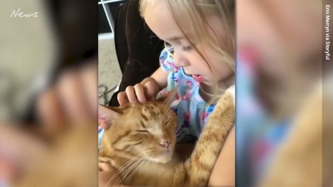 Little Girl Sings Sweet Lullaby to Her Sleepy Kitty