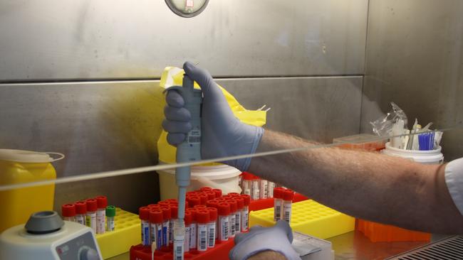 PRIORITY: The Australian Government has announced it's priority groups of whom will get the first approved COVID-19 vaccine once the medication is  deemed safe. Photo: Alison Paterson