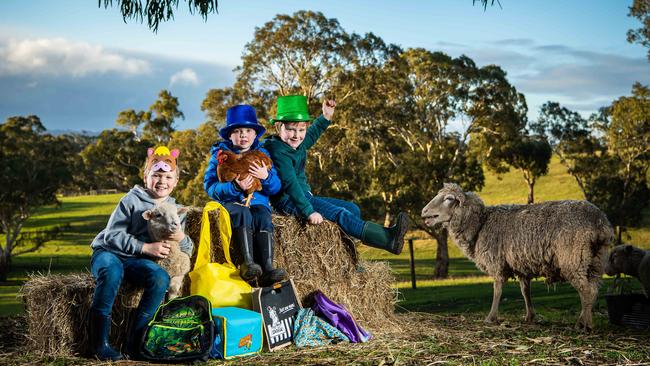 Harry, 9, Felix, 4, and Banjo, 8, are excited tickets for the Royal Adelaide Show have gone on sale. Picture: Tom Huntley