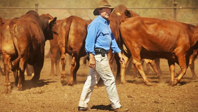 Andrew ‘Twiggy’ Forrest may be the man to bring back the Liberals after Peter Dutton’s humiliating defeat, according to Charles Wooley. Picture: Supplied.