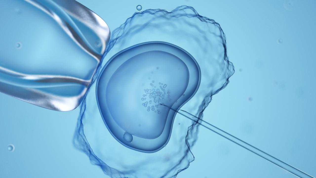 Monash IVF makes another embryo bungle