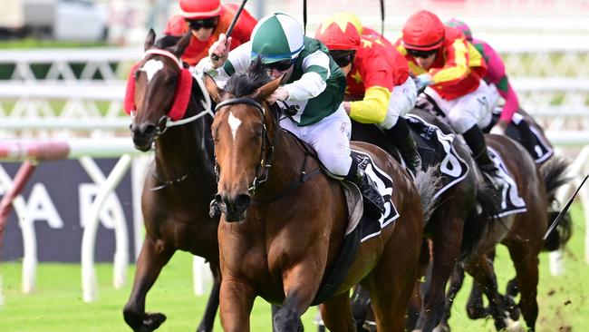 Sunrays has ticked the 1500m box after winning the Show A Heart at Eagle Farm on Saturday. Picture: Trackside Photography
