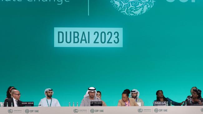 Officials attend a plenary session during the United Nations climate summit in Dubai.