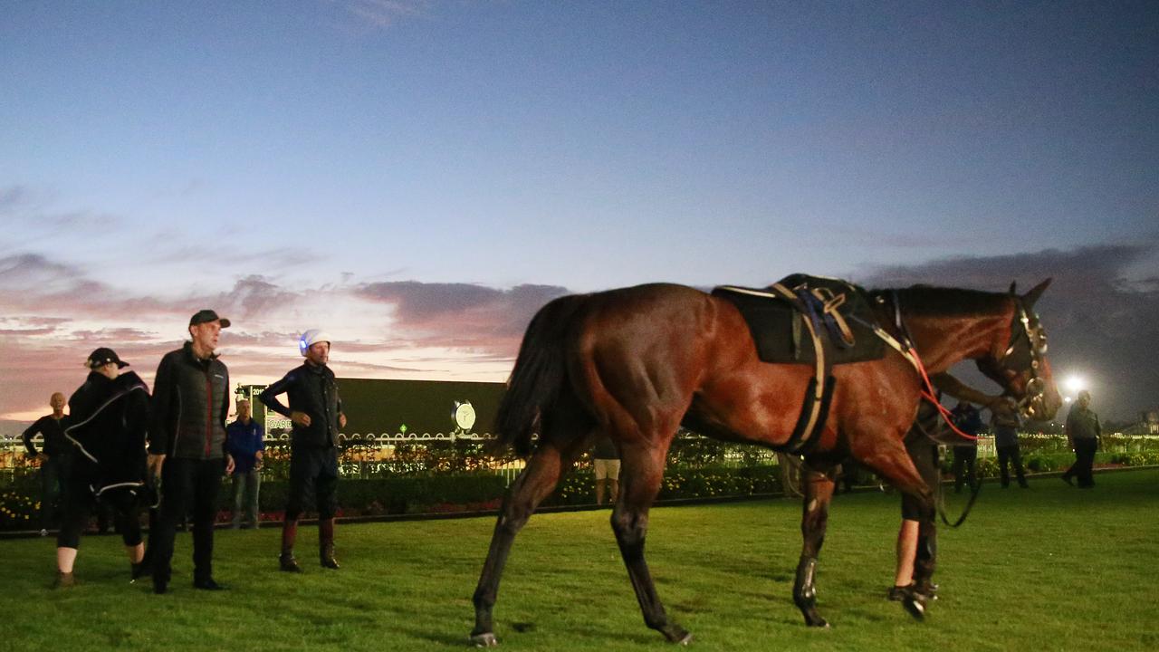 Chris Waller and Hugh Bowman inspect Winx after a trackwork session at Rosehill Gardens on February 28, 2019. Picture: Getty Images