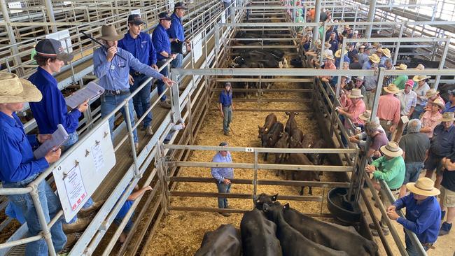 Late last week the saleyard price for cows hit a new low.