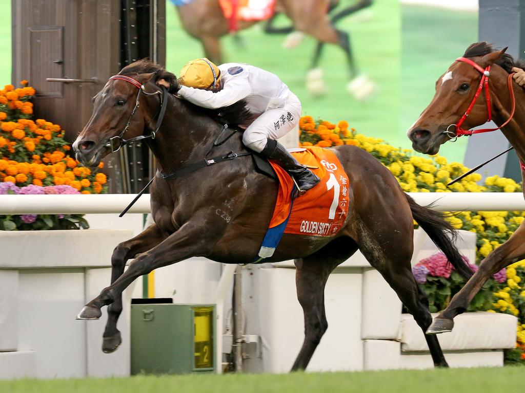 Golden Sixty chases a sixth G1. Picture: HKJC