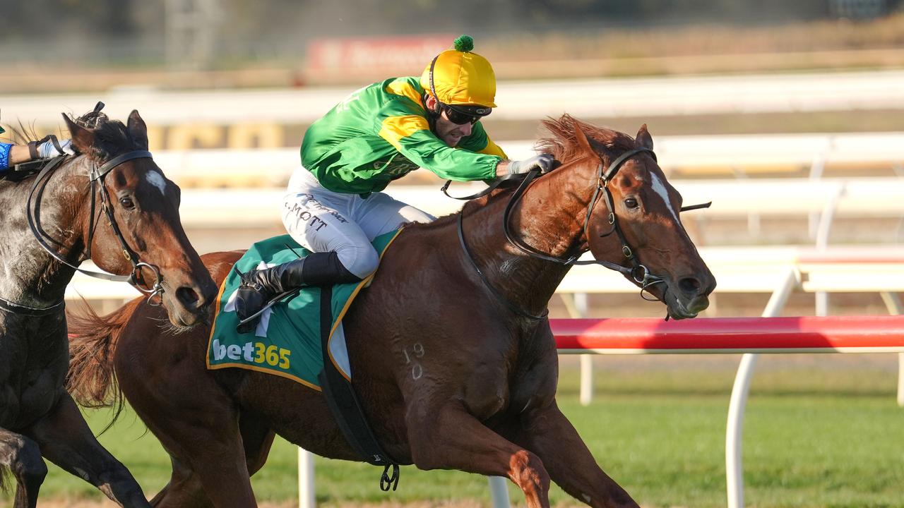 ‘Doing our best to catch her’: McArdle unfazed by Jenni