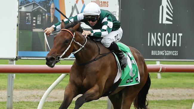 NEWCASTLE, AUSTRALIA - NOVEMBER 16: Tim Clark riding Gobi Desert win Race 1 NZB Airfreight Max Lees Classic during The Hunter Race Day at Newcastle Racecourse on November 16, 2024 in Newcastle, Australia. (Photo by Jeremy Ng/Getty Images)