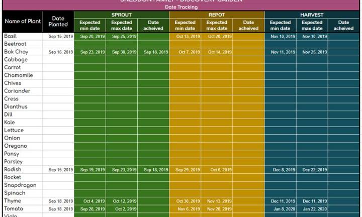 Woolworths Discovery Garden Spreadsheet To Grow Plants Kidspot