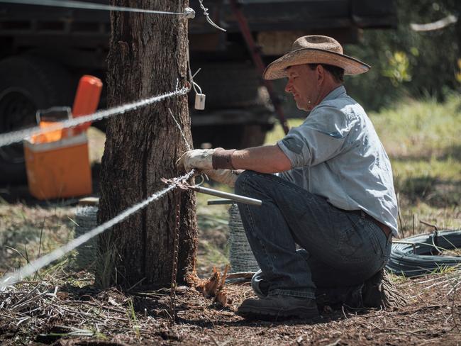 Heroic Warwick family rebuilds farm devastated by bushfires