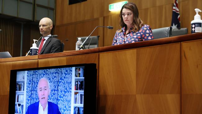 Senator Sarah Hanson-Young with the 29th Prime Minister of Australia Malcolm Turnbull via a video link during the media diversity in Australia Public Hearing. Picture: NCA NewsWire/Gary Ramage