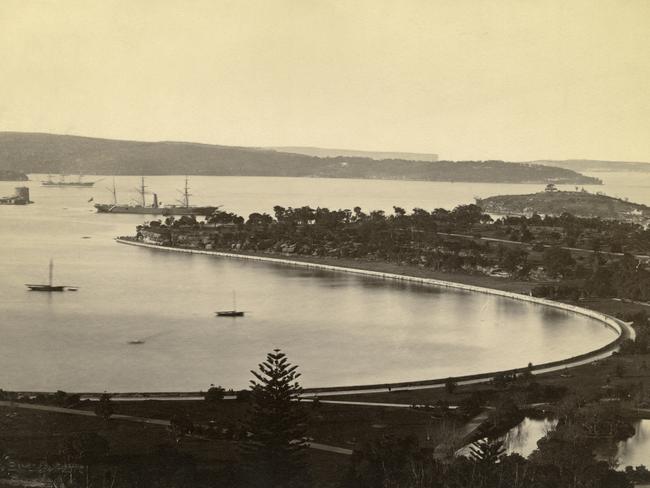 1886: A view over Man of War Bay (now Farm Cove) from the Royal Botanic Gardens. Albumen print. Picture: Charles Bayliss/Hulton Archive/Getty Images