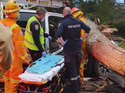 A tree fell on the car in Mt Evelyn. Picture: Lilydale SES