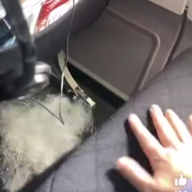 Footage shows a Qantas passenger repeatedly whacking his hand on the seat which causes massive plumes of dust. Picture: Facebook