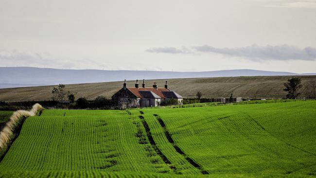 The cottages are surrounded by rolling farmland. Picture: Brent Darby.