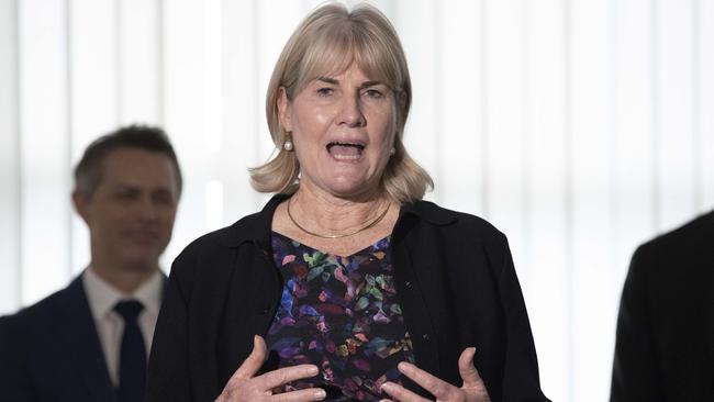 Infrastructure, Planning and Logistics Minister Eva Lawler announced the changes. Picture: NCA NewsWire / Gary Ramage