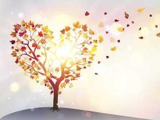 Tree In A Heart Shape With Wind And Falling leaves. Picture: RomoloTavani