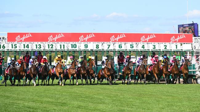 The 2023 financial report for state governing body Racing Victoria shows its total wagering revenue fell 7.3 per cent compared to the previous year.