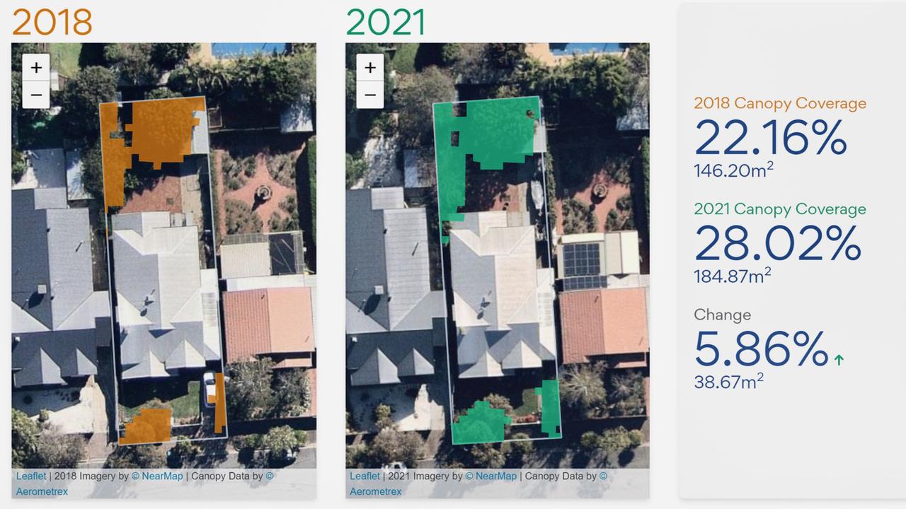 An example of how Unley is mapping tree coverage.