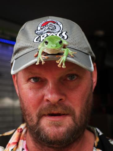 ‘Grasshopper’ the frog celebrates with a ride with owner Brett Tharle as the overall winner of the annual Noonamah Tavern frog races. PICTURE: Justin Kennedy