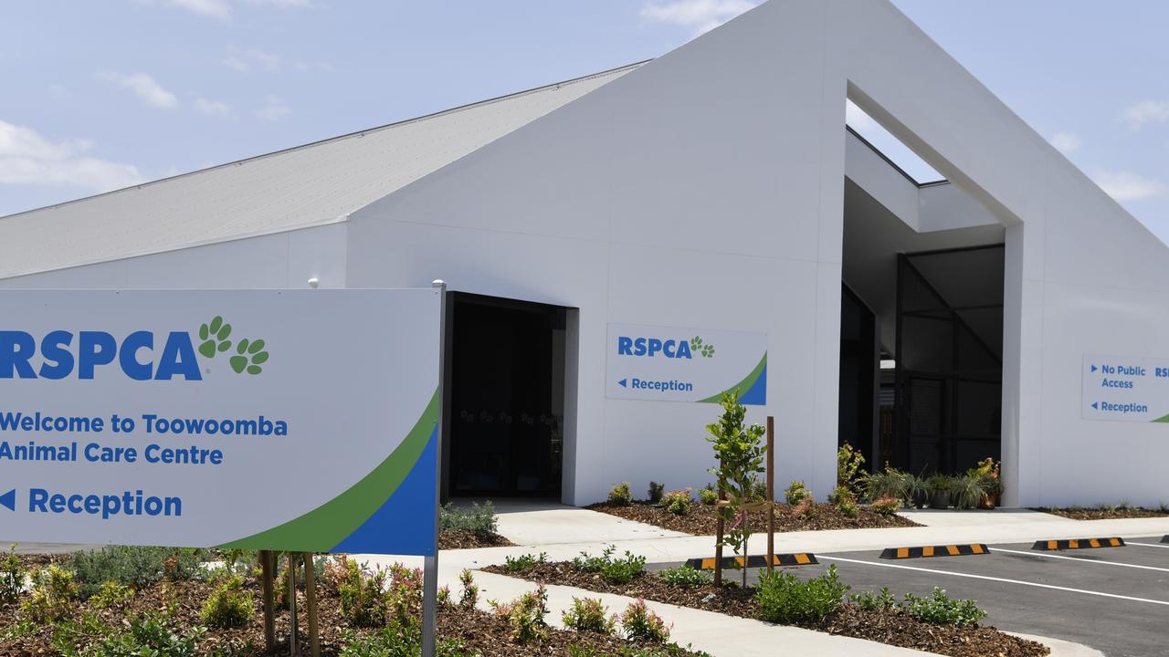 RSPCA Toowoomba shelter new facility in Wellcamp Business Park, Tuesday, January 7, 2020. Picture: Kevin Farmer